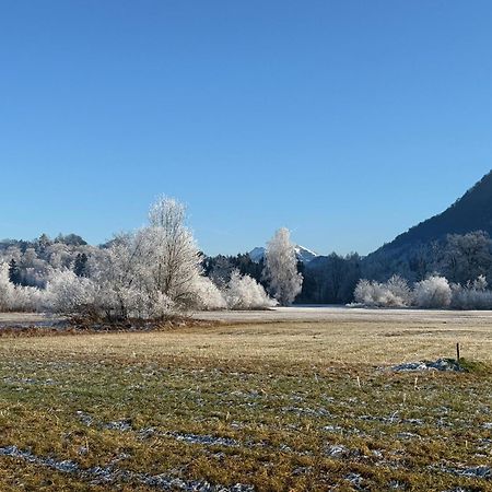 Esterer Grödig Exteriör bild