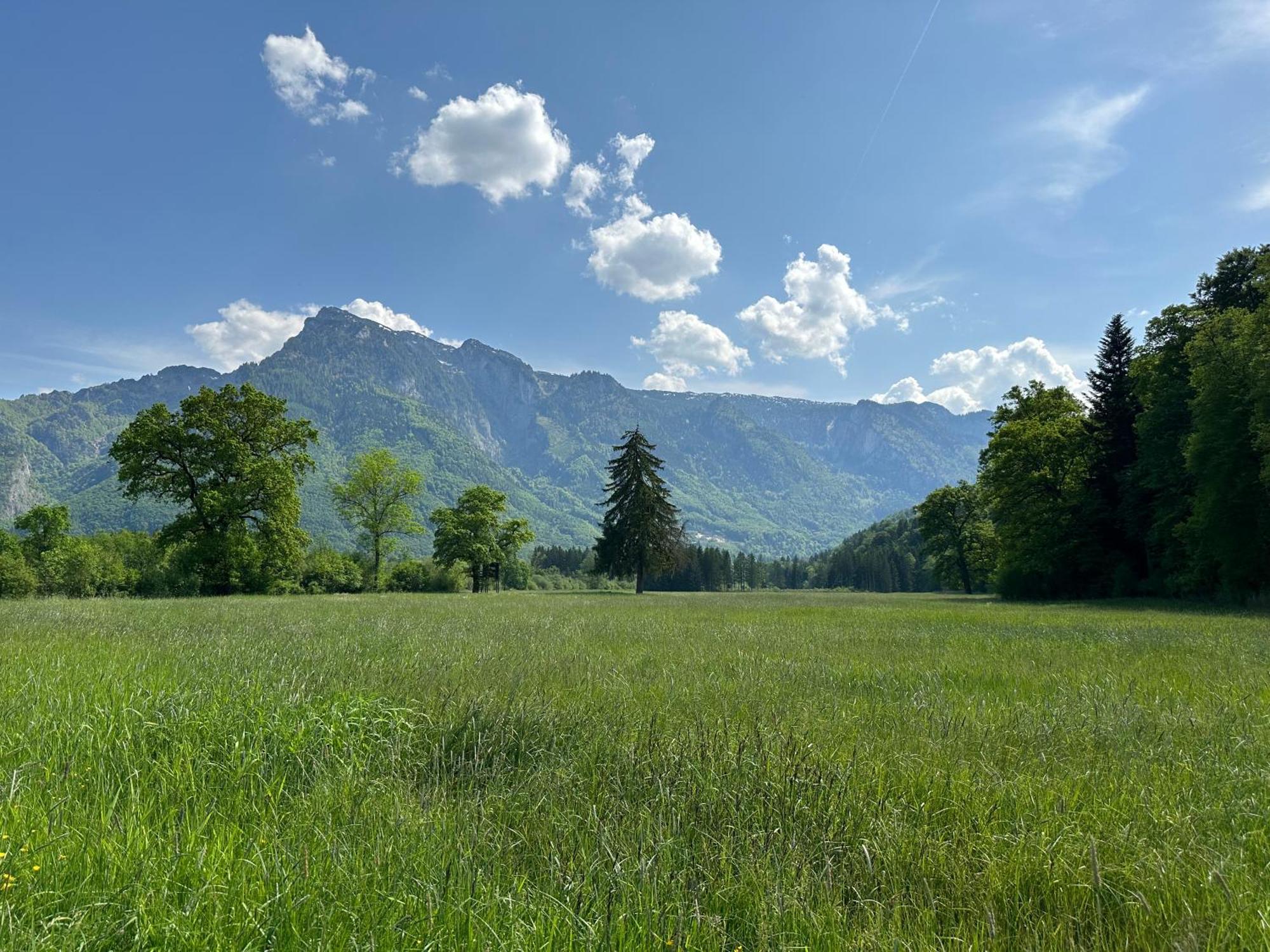 Esterer Grödig Exteriör bild