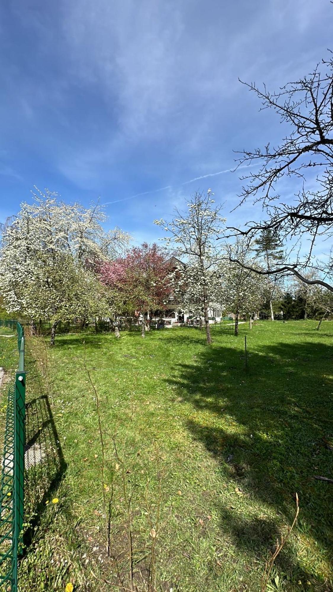 Esterer Grödig Exteriör bild