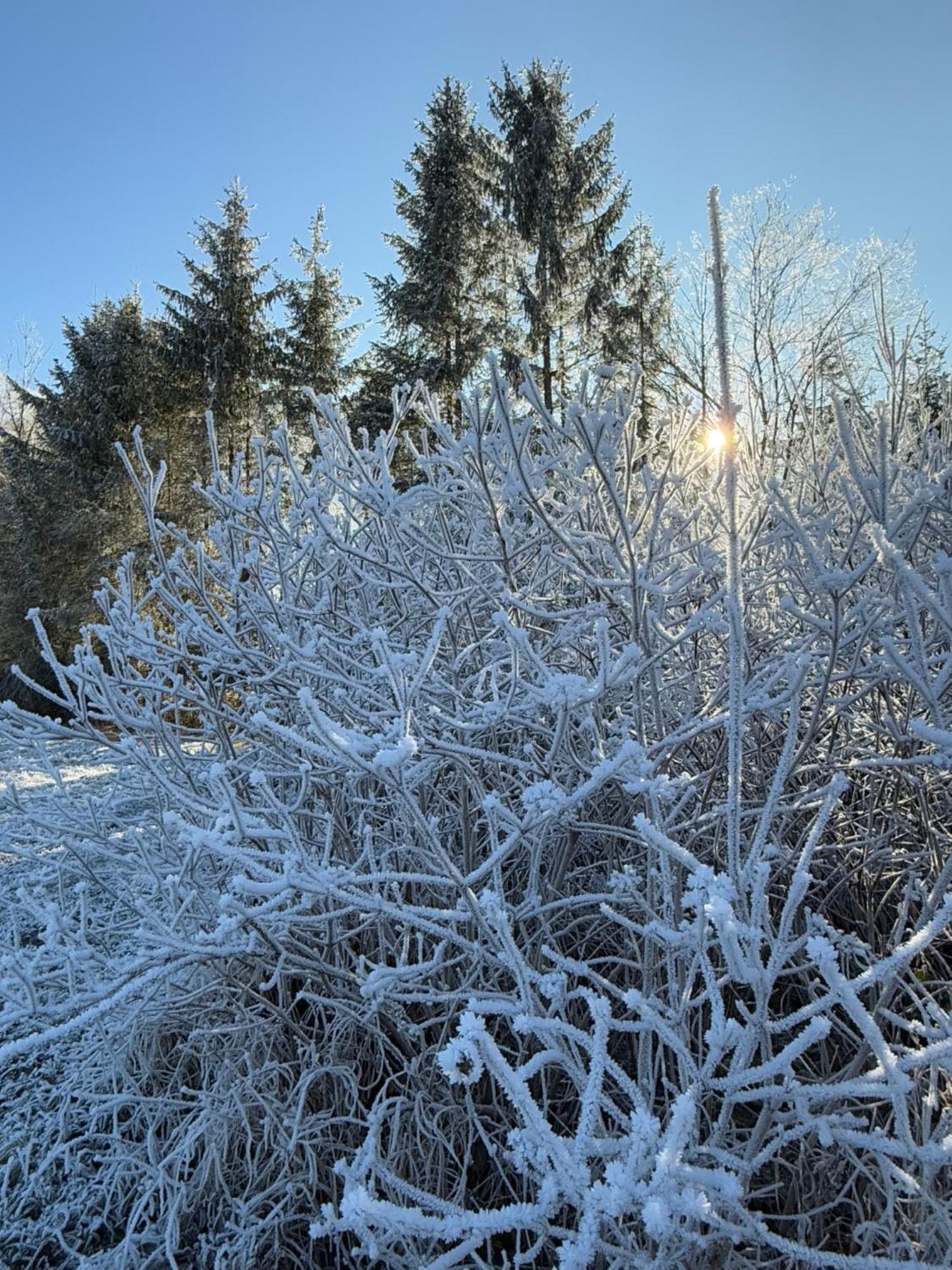 Esterer Grödig Exteriör bild