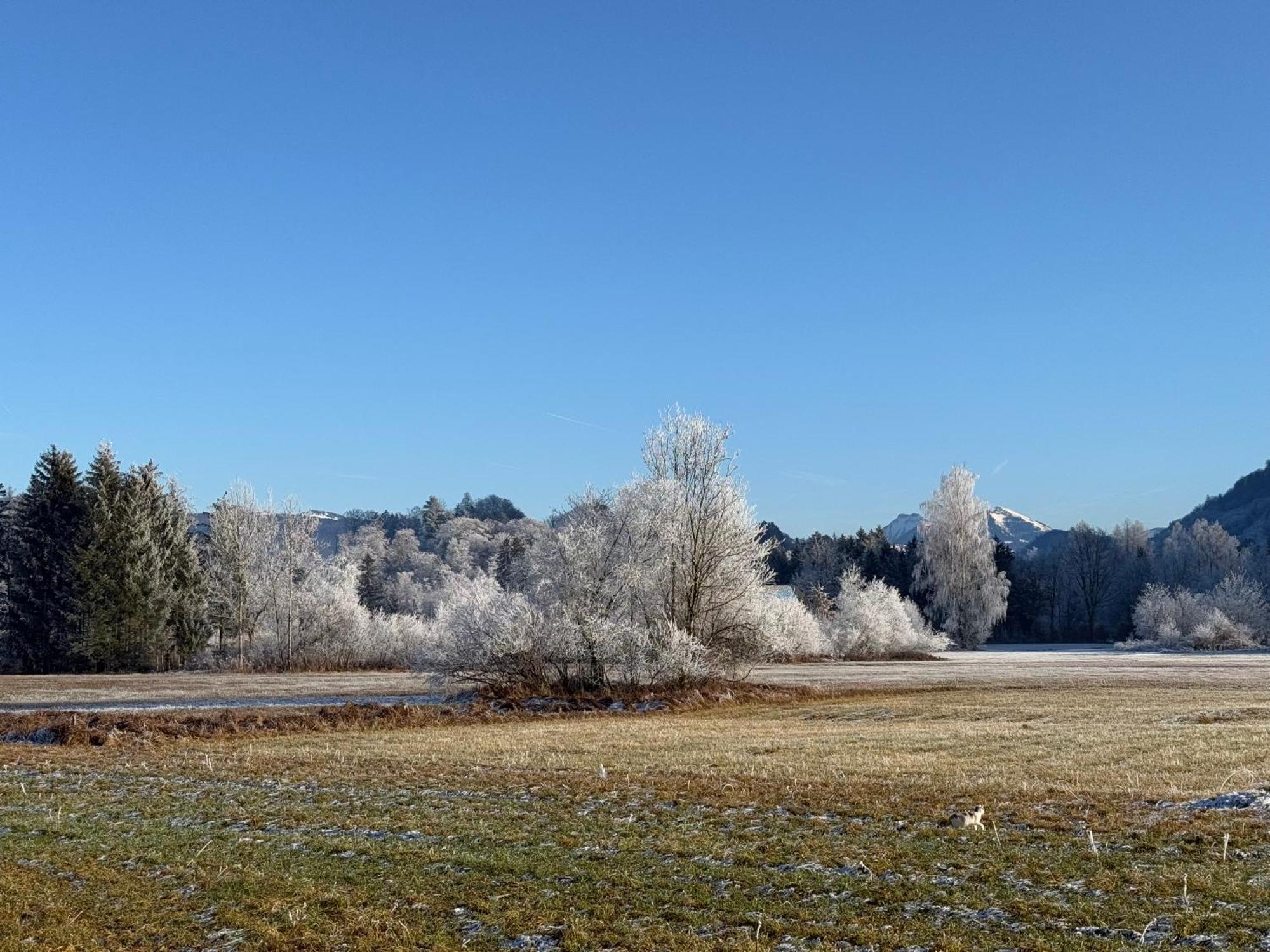 Esterer Grödig Exteriör bild