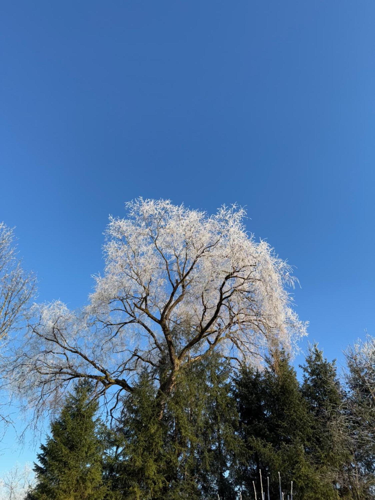Esterer Grödig Exteriör bild